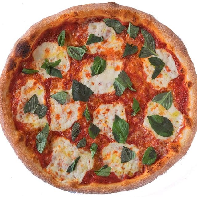 Appalachiarita Medium.